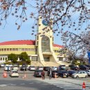 군산월명종합경기장실내체육관 이미지