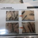 모다르헤어
