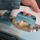 241224 스타벅스 케이크와 함께한 크리스마스 이브 (스타벅스 홀케이크 예약 및 부쉬드노엘 후기)