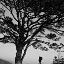 강화가든 이미지