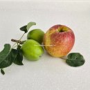 스마트폰 영상 제작 및 편집(오전) | [셀프마케팅 후기] 스마트폰으로 영상 편집부터 자막까지 유튜브 영상콘텐츠 제작 교육 6강