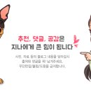 쁘띠하개 네이버블로그