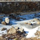 더플라워펜션 이미지