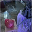싱싱한식자재 | 부산 양산 김해 창원 식자재 유통업체 알아보며 느낀 안정적인 식재료 공급의 중요성