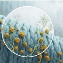 솔로몬세탁 이미지