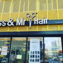 미스미스터헤어숍