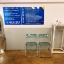 셀프워시독 네이버블로그