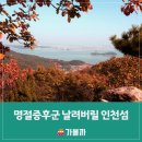 쌍둥이민박 | 명절증후군 날려버릴 힐링하기 좋은 섬 여행