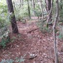 동편농장 이미지