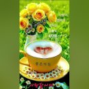 좋은하루 이미지