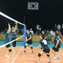 벌교스포츠센터 이미지
