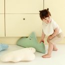 그린필로우 | 마롤로뜨 아기 바디필로우 가드쿠션 후기