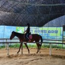 퀸즈승마장 이미지