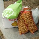 어양동사무소 이미지