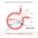 나을동물병원 이미지