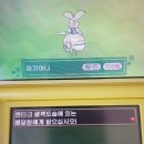 썬앤티클 이미지