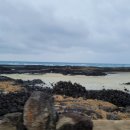 해맞이해안로 이미지