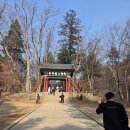 해인사성보박물관 | 경남 가볼만한곳 해인사 성보박물관 기획전시부터 사찰 산책까지, 완벽한 2월 여행 코스