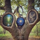 자연의 품 이미지