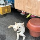 동원고등학교(기숙사) 이미지