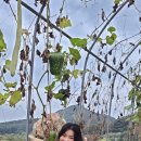 호박스포츠 이미지