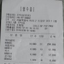 푸른솔실비
