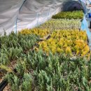 종근목장 이미지