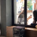 에세스 커피(sss coffee) | 대구 동대구역 카페 애리스커피스탠드 신천점 ARRIS COFFEE STAND