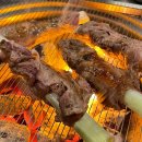 [강서⭐️마곡] 마곡 고기집 포차감성 맛집 탄천갈매기 마곡점 방문 후기!
