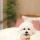 아임2스튜디오 이미지