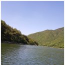 연하엽구름다리 이미지