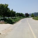 도군로-3 이미지