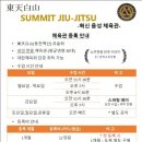 써밋주짓수음성