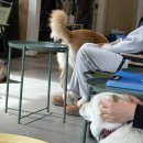 카페훈트 | 화성 봉담 유기견 카페 훈트 후기, 입장료가 후원금으로 쓰이는 강아지 카페