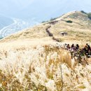 민둥산 850 전망대 이미지