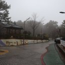 제황산공원(제황산부엉이) 이미지