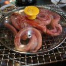 산꼼장어 이미지