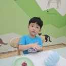 &#34;조개무드등만들기&#34; 국립호남권생물자원관 이미지