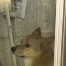태성한우숯불 이미지