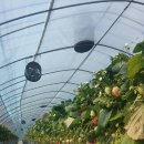 해늘농장 이미지