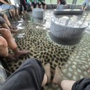 시민요양병원 이미지