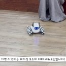🏎️ 밍키야 달려라 레이싱 모드 🚦 이미지