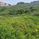 거문초동도분교장 이미지