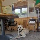 숙이네 민박 이미지