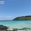[제주도 맛집] 제주 함덕해수욕장 전복김밥 맛집 해녀김밥 본점 솔직후기