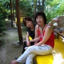 부적초등학교 이미지