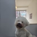 멍빨털빨 이미지