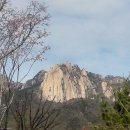 유림여관 | 홍재전서弘齋全書 卷六 31. 野次題萬丈峯(야차제만장봉)