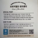 🍫 꼬르지엘모 파베 초콜릿 솔직 후기