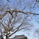 수북정공중화장실 이미지